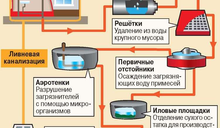 Городская канализация: устройство, обслуживание и очистка сточных вод